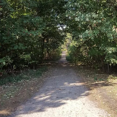 Het Uilenbos De Koog