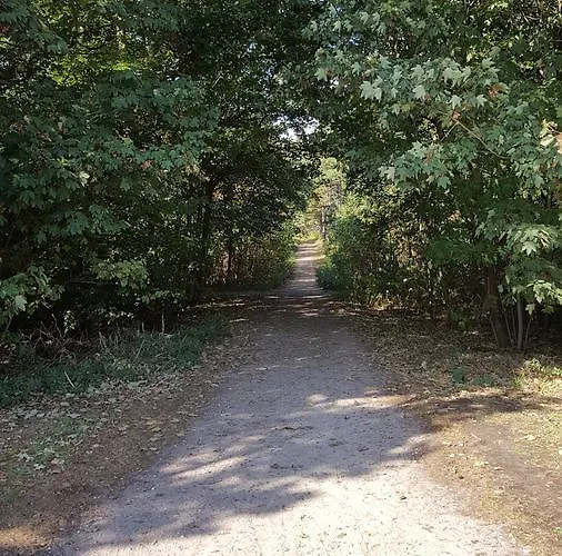 Het Uilenbos De Koog (Texel)
